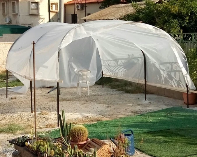 מבנה הגנה פשוט בחצר — יריעת ניילון מתוחה על קשתות מעל משטח גידול, עם עציצי קקטוס בחזית